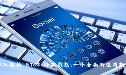 深入解析 BTCS 小狐钱包：一个全面的使用教程