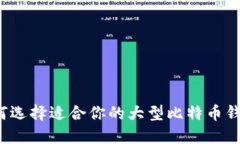 如何选择适合你的大型比