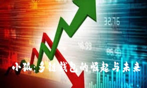  小狐：多链钱包的崛起与未来