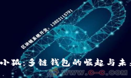  小狐：多链钱包的崛起与未来