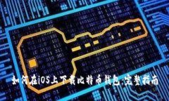如何在iOS上下载比特币钱