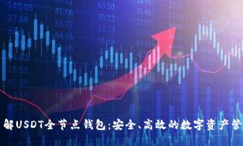 深入了解USDT全节点钱包：安全、高效的数字资产管理利器