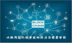 小狐钱包二次开发的潜力