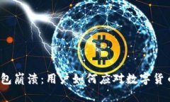 小狐钱包崩溃：用户如何
