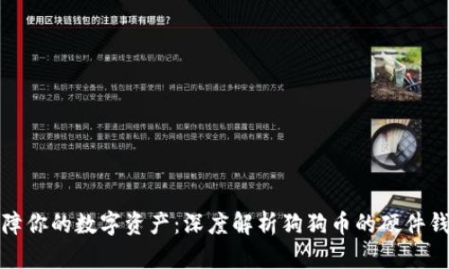 保障你的数字资产：深度解析狗狗币的硬件钱包