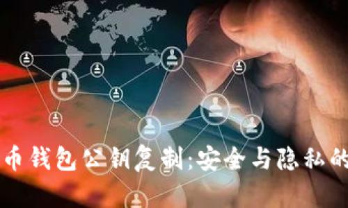 浅谈比特币钱包公钥复制：安全与隐私的双重考量