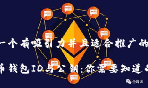 思考一个有吸引力并且适合推广的优秀

比特币钱包ID与公钥：你需要知道的一切