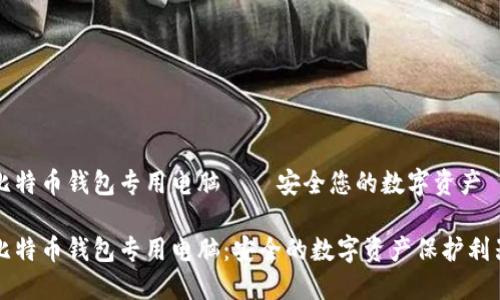 比特币钱包专用电脑——安全您的数字资产

比特币钱包专用电脑：安全的数字资产保护利器