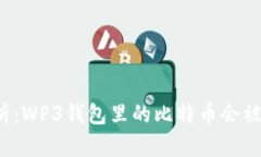 深度解析：WP3钱包里的比