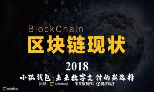 小狐钱包：未来数字支付的新选择