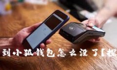  :  中本聪提币到小狐钱包怎么没了？探秘资金失