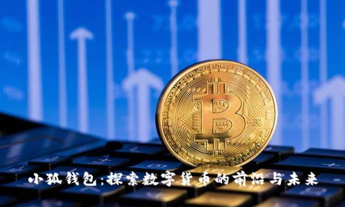 小狐钱包：探索数字货币的前沿与未来