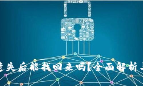 小狐钱包遗失后能找回来吗？全面解析与应对策略