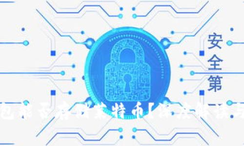比特币钱包能否存储莱特币？深度解读与常见疑问