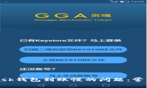 如何解决MetaMask钱包到账慢的问题：常见原因与解决方案