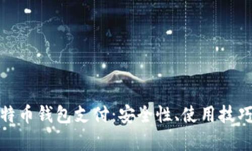 全面解析比特币钱包支付：安全性、使用技巧与未来趋势