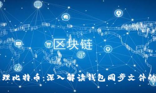 如何高效管理比特币：深入解读钱包同步文件的意义与应用