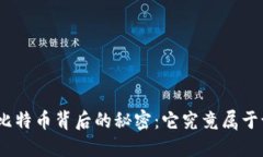 : 比特币背后的秘密：它究