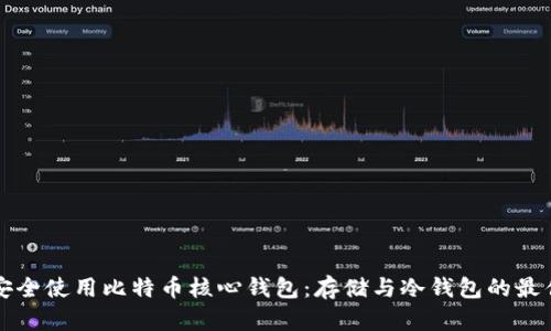 如何安全使用比特币核心钱包：存储与冷钱包的最佳实践