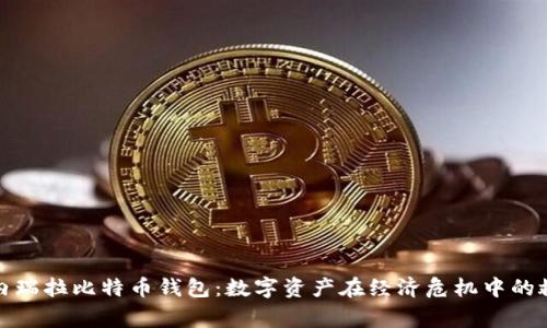 探索委内瑞拉比特币钱包：数字资产在经济危机中的救命稻草