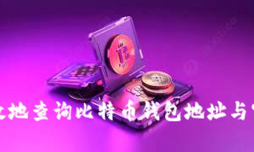 如何安全有效地查询比特币钱包地址与官网下载指南