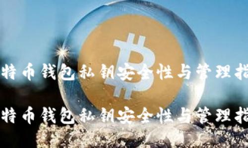比特币钱包私钥安全性与管理指南

比特币钱包私钥安全性与管理指南