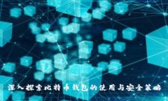 深入探索比特币钱包的使