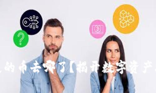 : 小狐钱包消失的币去哪了？揭开数字资产丢失的背后真相