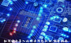 如何安全导入比特币钱包