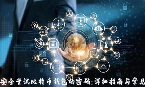 
如何安全尝试比特币钱包的密码：详细指南与常见问题