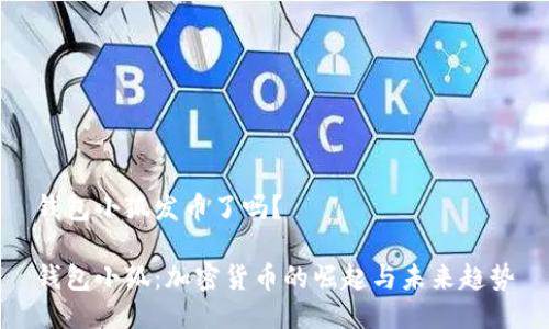 钱包小狐发币了吗？

钱包小狐：加密货币的崛起与未来趋势
