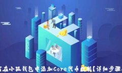 如何在小狐钱包中添加C