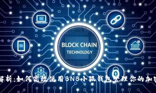 全面解析：如何高效使用BNB小狐钱包管理你的加密资产