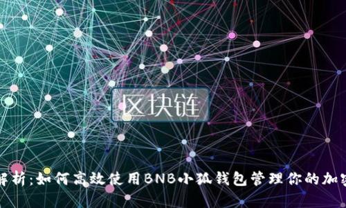 全面解析：如何高效使用BNB小狐钱包管理你的加密资产