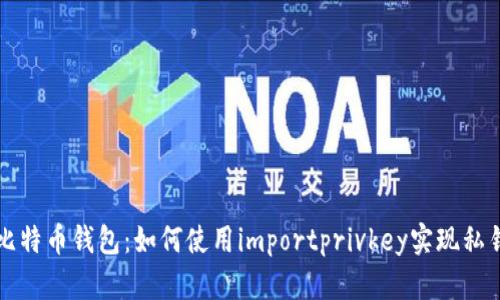 掌握比特币钱包：如何使用importprivkey实现私钥导入