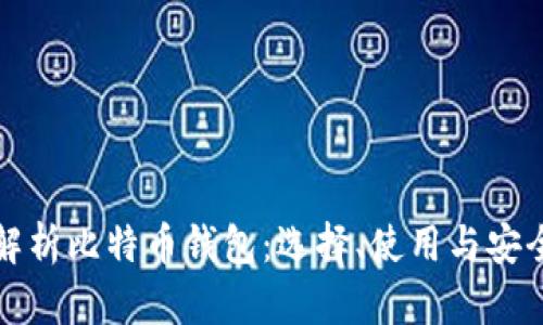 彻底解析比特币钱包：选择、使用与安全指南