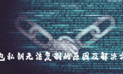 小狐钱包私钥无法复制的原因及解决方案解析