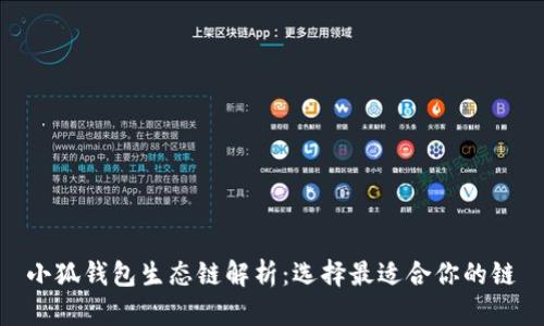 小狐钱包生态链解析：选择最适合你的链