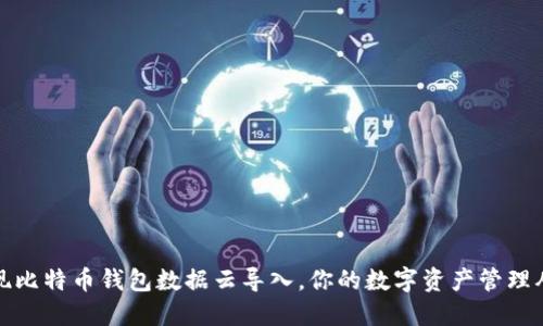 轻松实现比特币钱包数据云导入，你的数字资产管理从此无忧