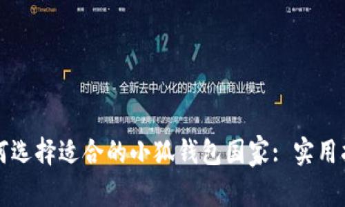 如何选择适合的小狐钱包国家: 实用指南