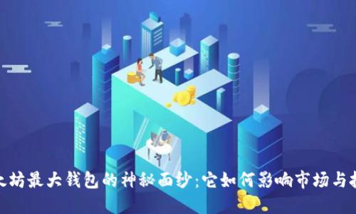 揭开以太坊最大钱包的神秘面纱：它如何影响市场与投资机会
