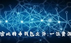 如何安全高效地解密比特币钱包文件：一位资深