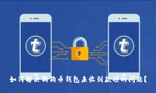 如何解决狗狗币钱包未收到款项的问题？