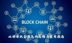 比特币现金钱包的选择与使用指南