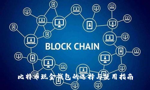 比特币现金钱包的选择与使用指南