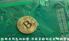 探索比特币钱包的秘密：你能否捡到遗失的数字