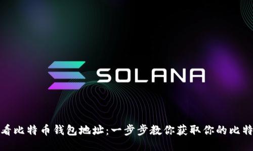 如何查看比特币钱包地址：一步步教你获取你的比特币地址