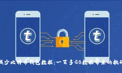 如何管理和减少比特币钱包数据：一百多GB数据带来的挑战与解决方案