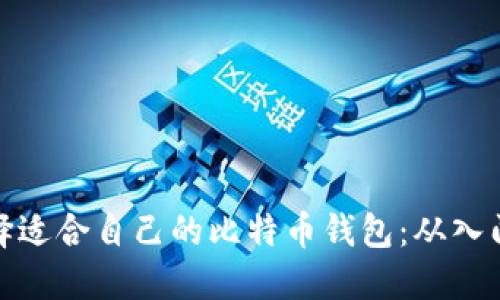 如何选择适合自己的比特币钱包：从入门到精通
