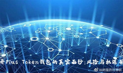 揭开Plus Token钱包的真实面纱：风险与机遇并存